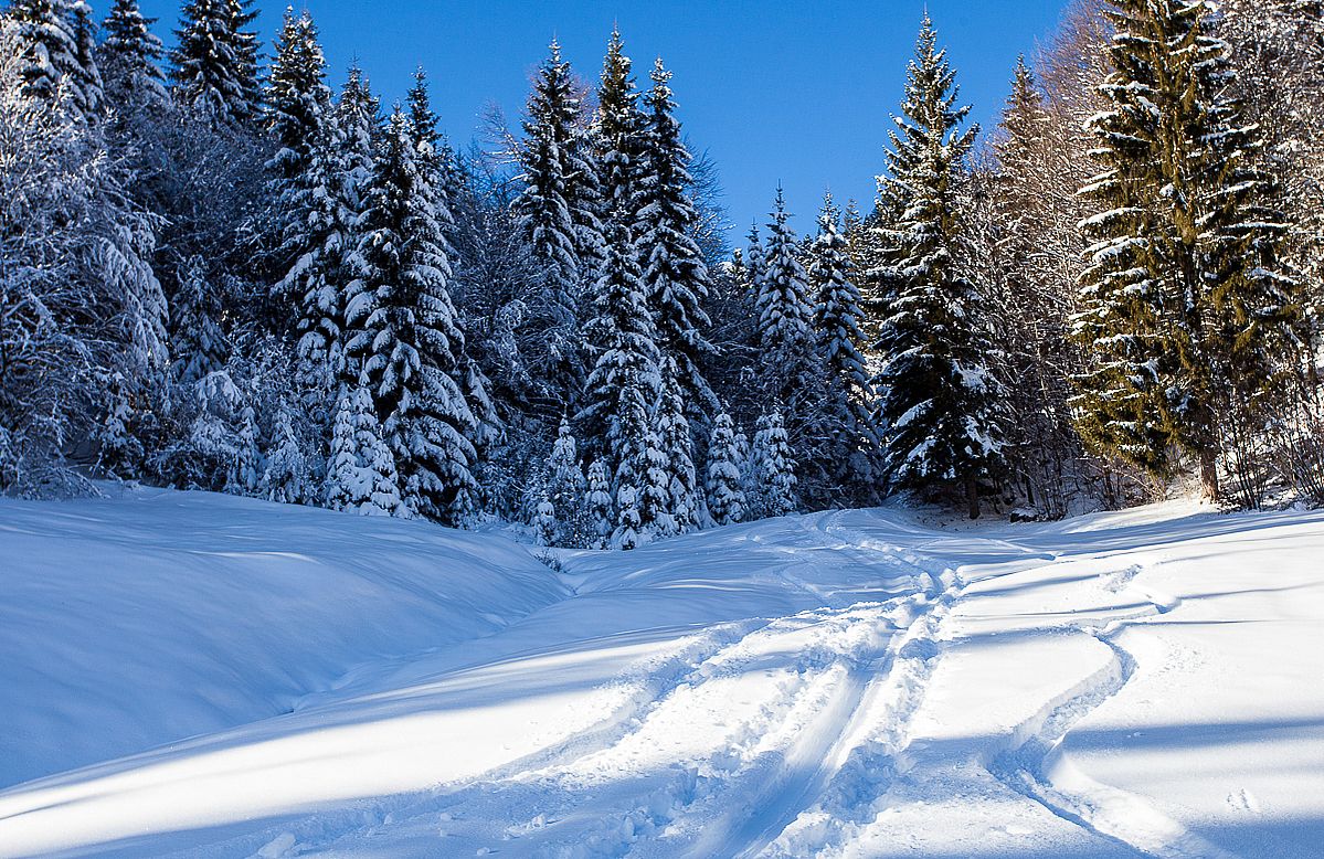 Schöne Winterlandschaft im Heutal.