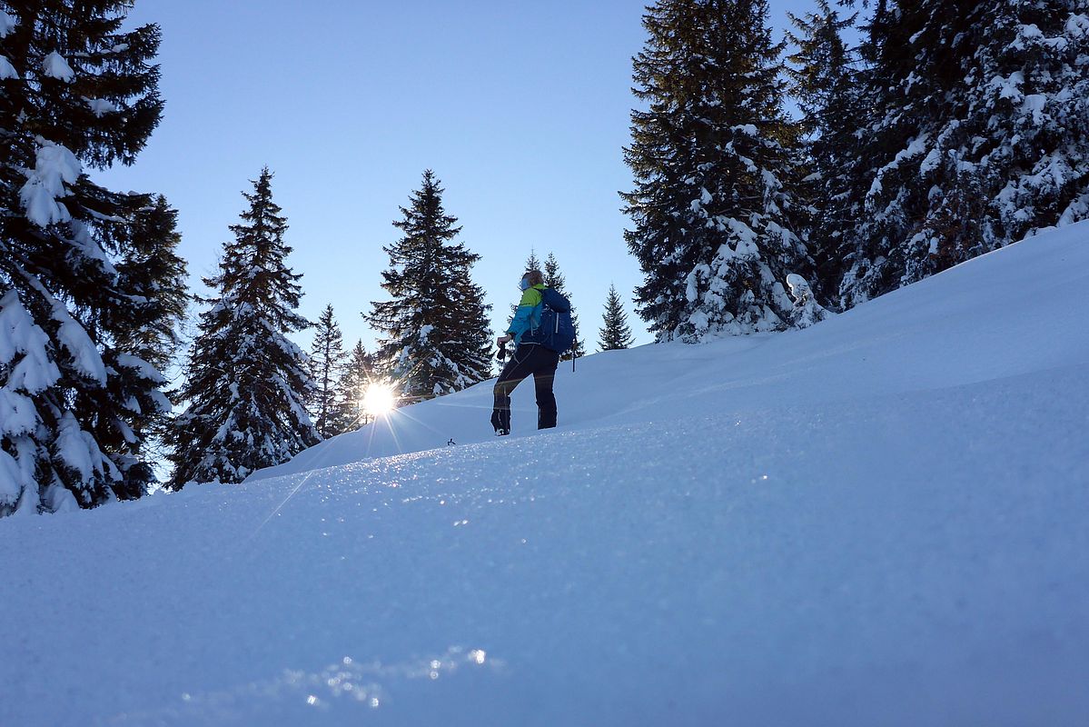 Aufstieg am Ostgrat zur Hochries mit viel (raureifbedecktem) Pulverschnee.