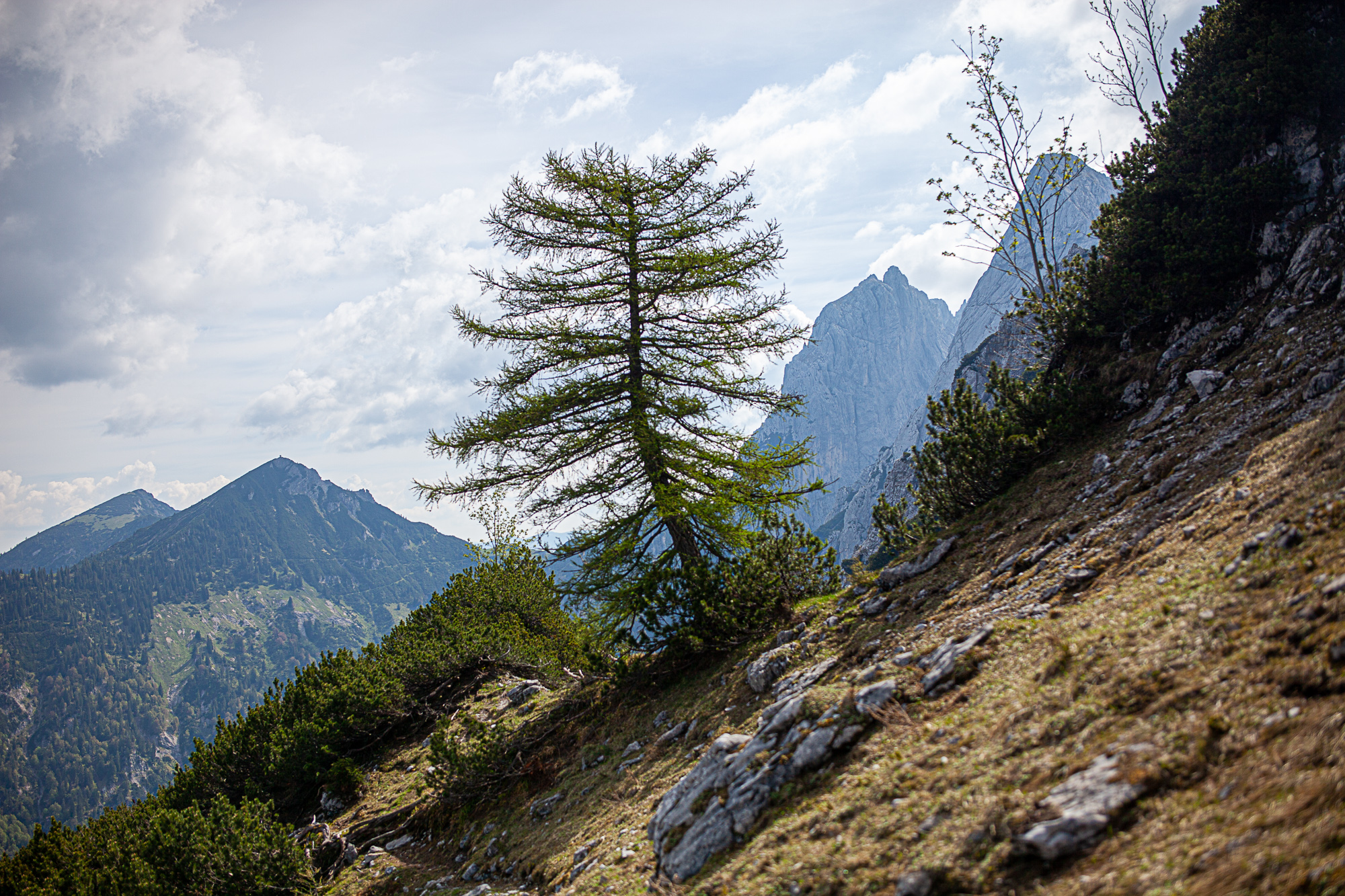 Am Einstieg des Klettersteigs