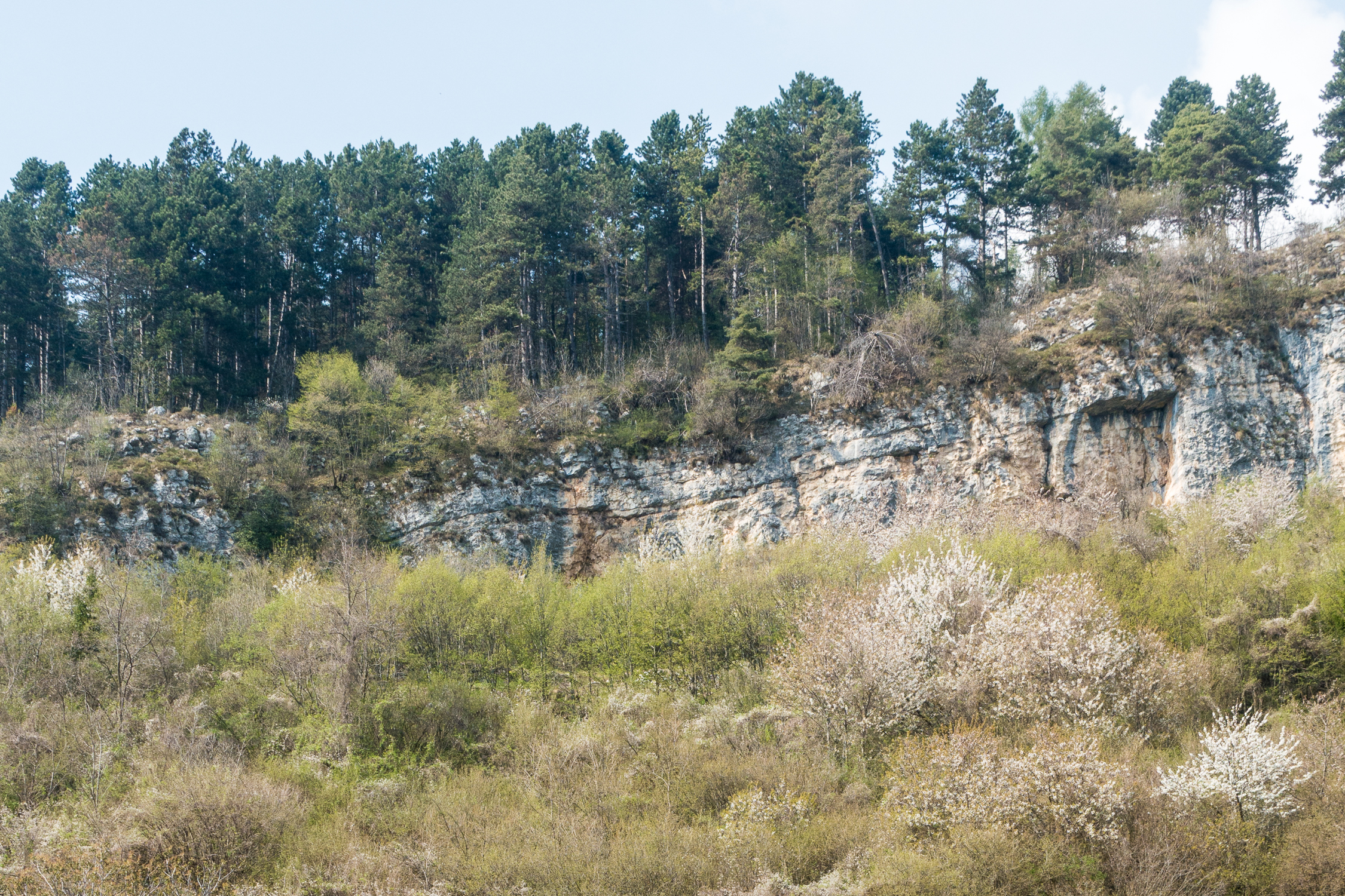 Der Felsriegel oberhalb von Ronzo