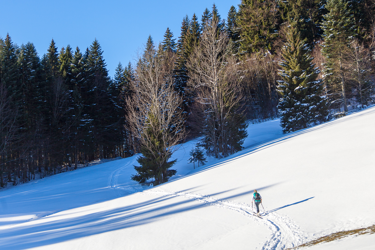 Beginn der Querung zur Florihütte 