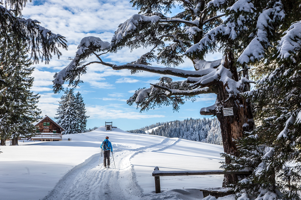 Aufstieg zur Aueralm 