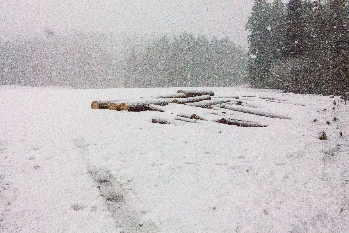 Dichter Schneefall gegen 11 Uhr am Parkplatz.