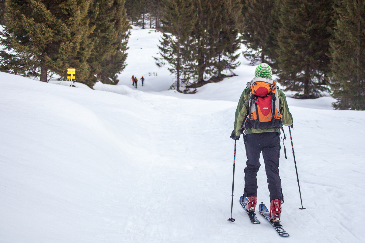 Überraschend viel Schnee kurz oberhalb vom Parkplatz der Wochenbrunner Alm am Weg zur Gaudeamushütte. 