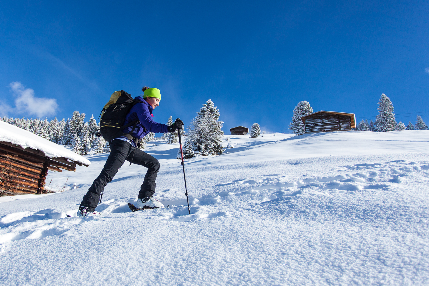 Standesgemäßer Skitourenauftakt - Pulverschnee im Aufstieg zur Rosenalm.