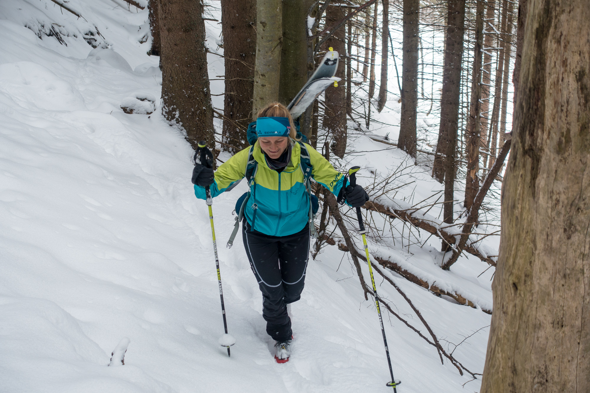 Ski tragen im kurzen Waldstück der Gassenleite oberhalb der Rosengassenalm. 