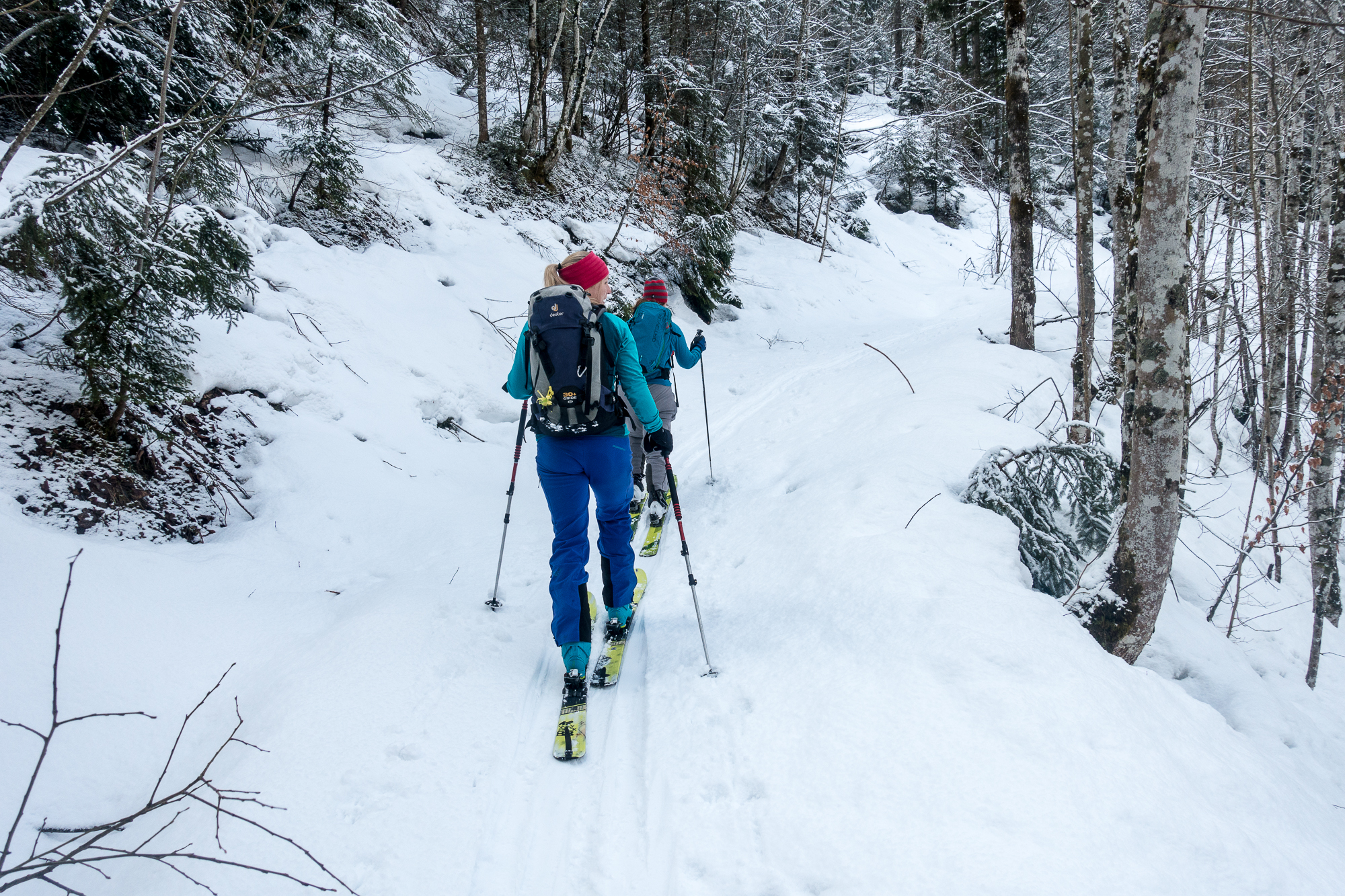 Unten im Wald auf 800 m liegt noch ein halber Meter Altschnee