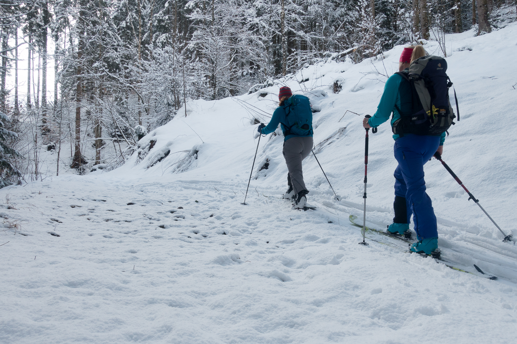 Einige schneearme Passagen gibts hier aber auch