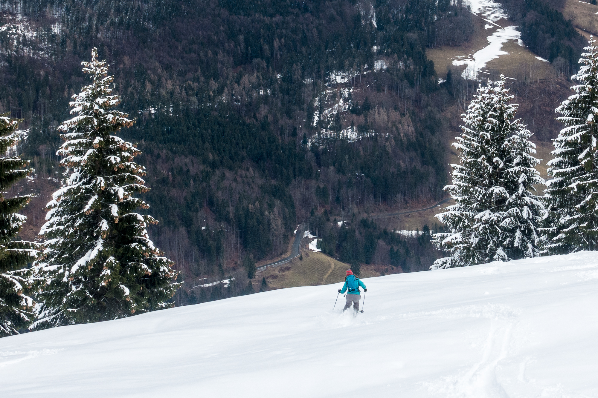 Die Wiesen der Schoisseralm wurden mittags dann schon pappig