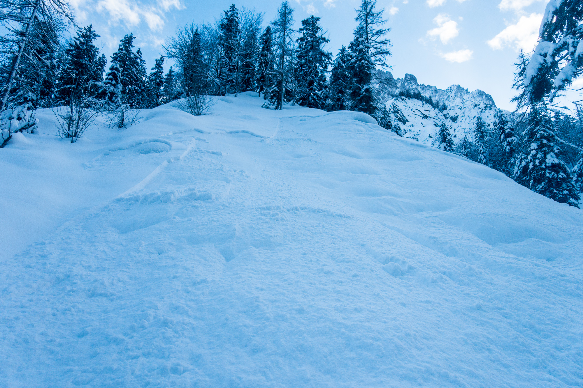 An den steileren Flanken im Talboden hat sich der Neuschnee auf dem Oberflächenreif nicht halten können.