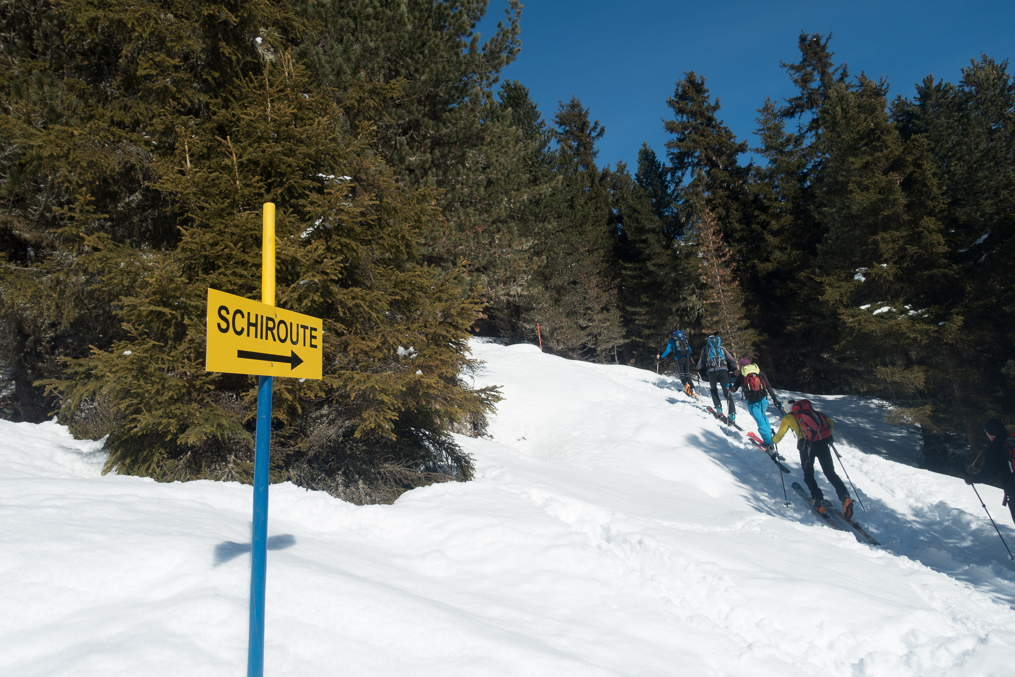 Skitourenlenkung im Waldbereich