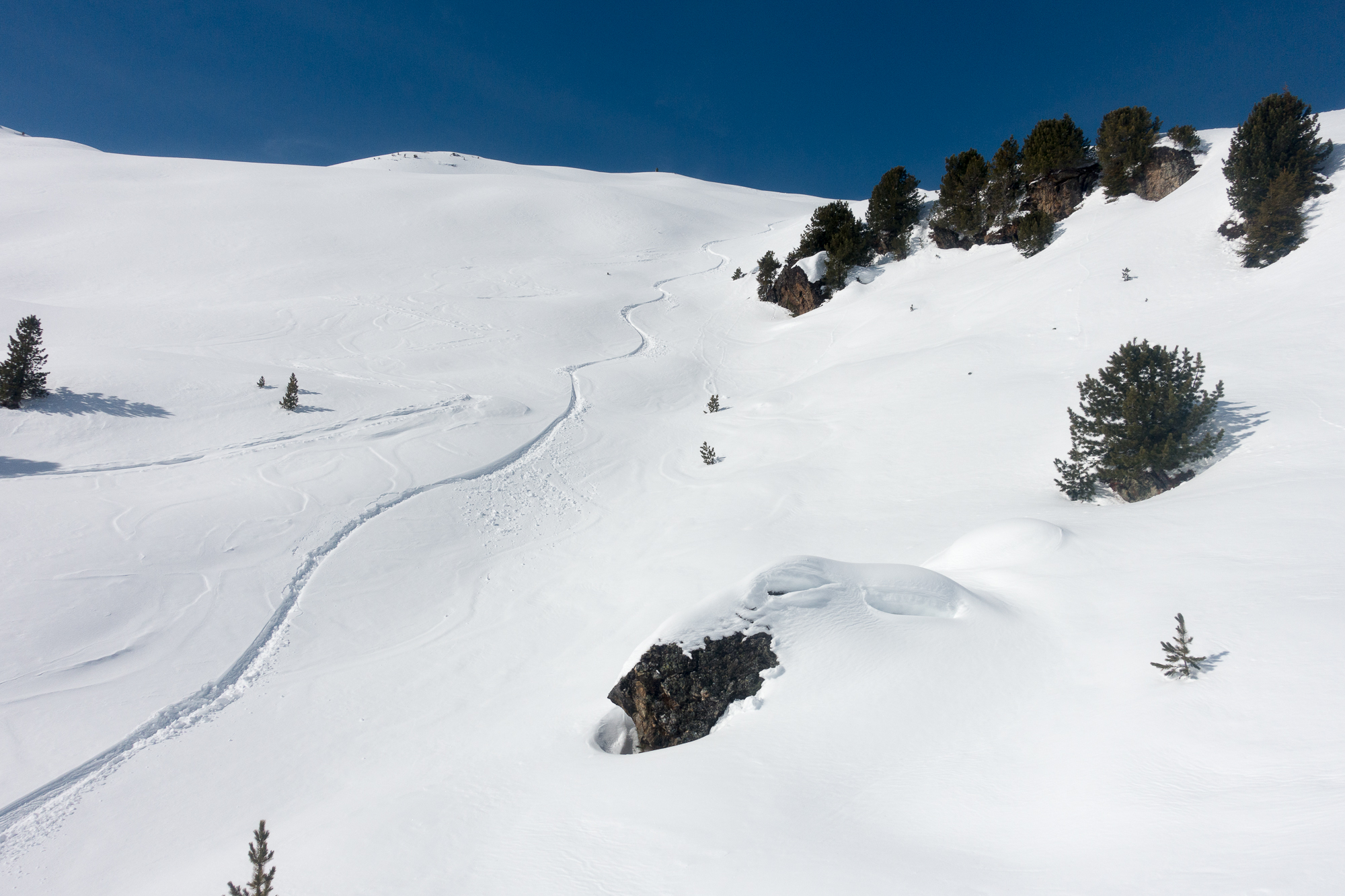 Wer früh dran war wurde mit unverspurtem Pulverschnee belohnt