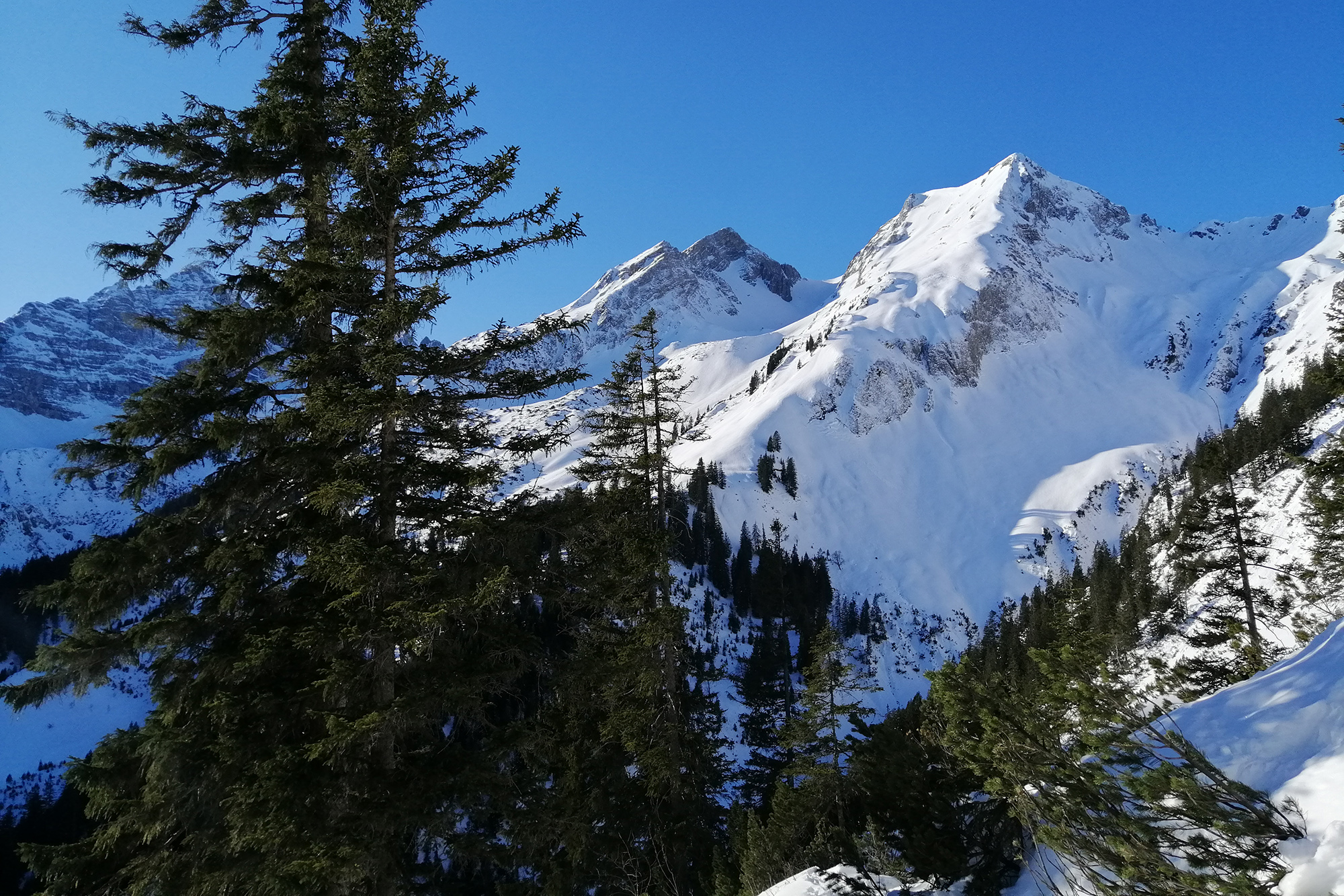 Aufstieg vom Schwarzwassertal