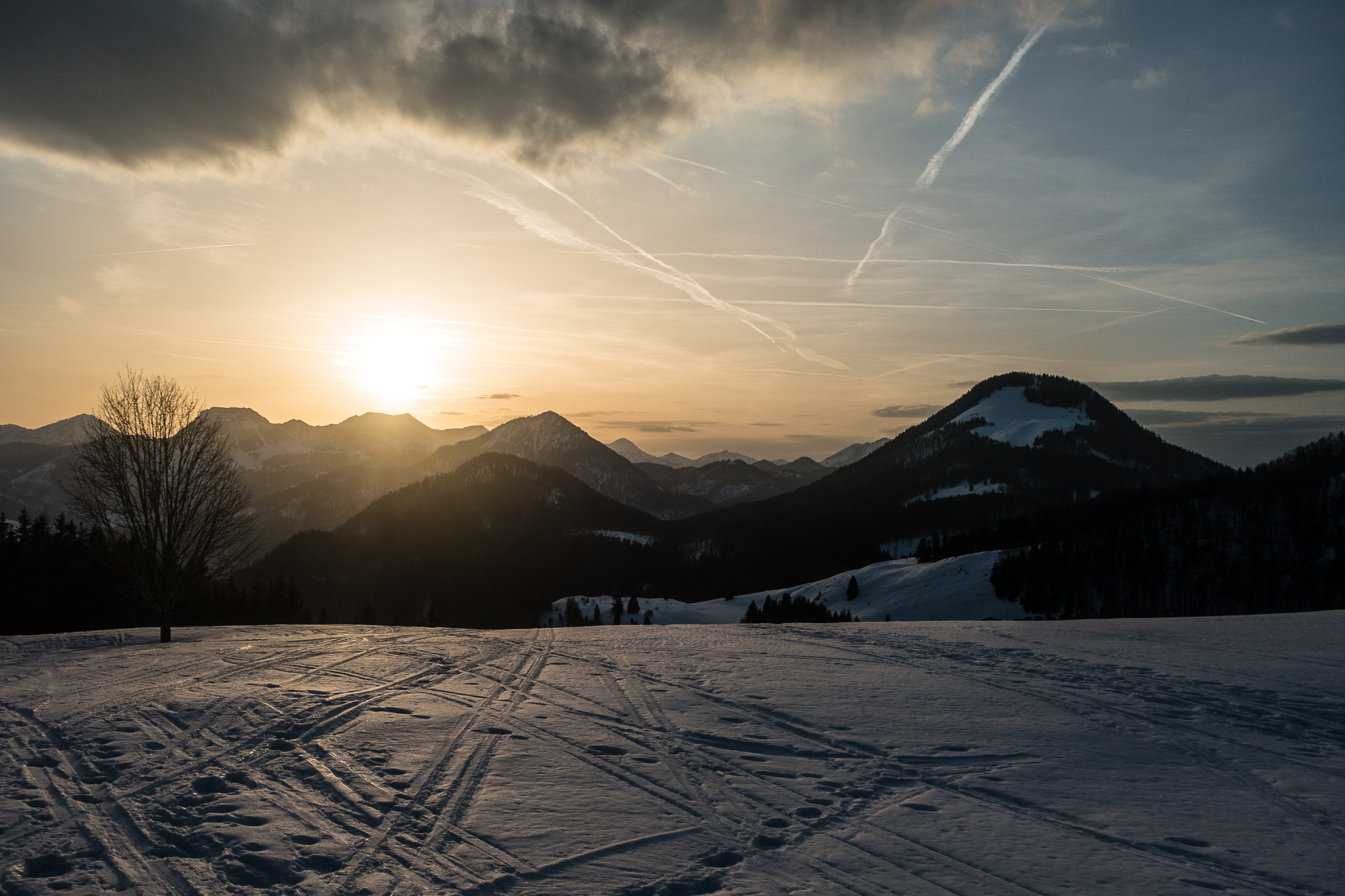 Abfahrt über den Erler Berg im Abendlicht.