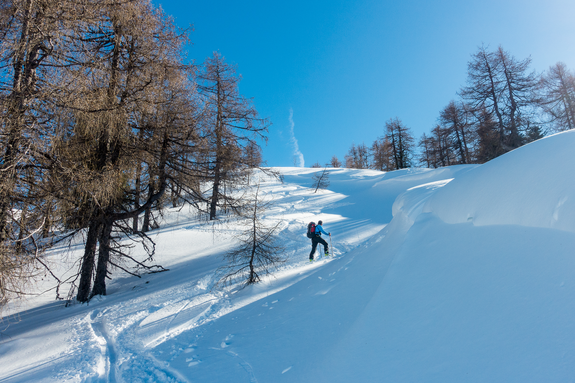 Lockerer Pulverschnee im Aufstieg