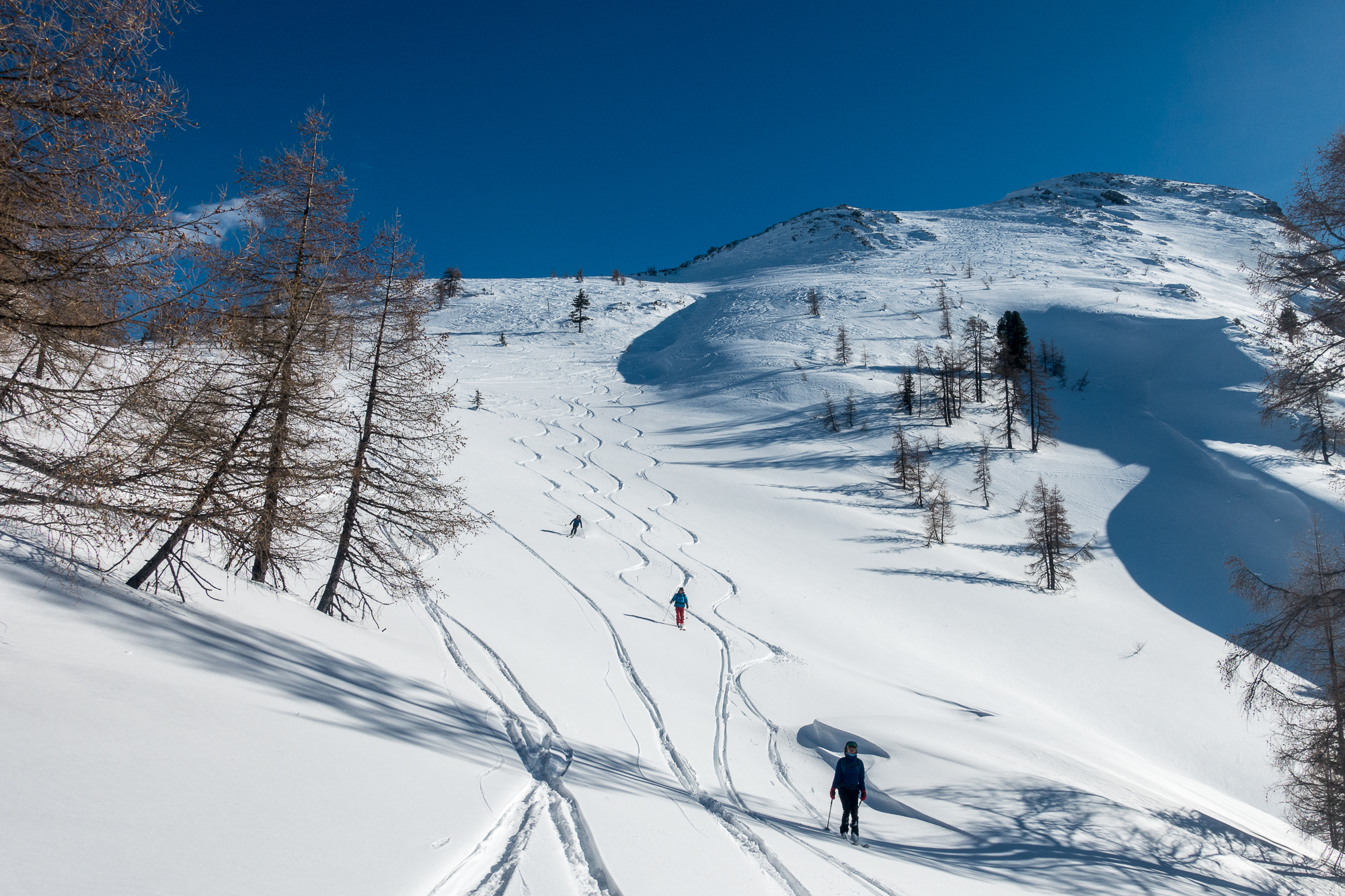 Ab der Waldgrenze Pulverschnee ohne Windeinfluss