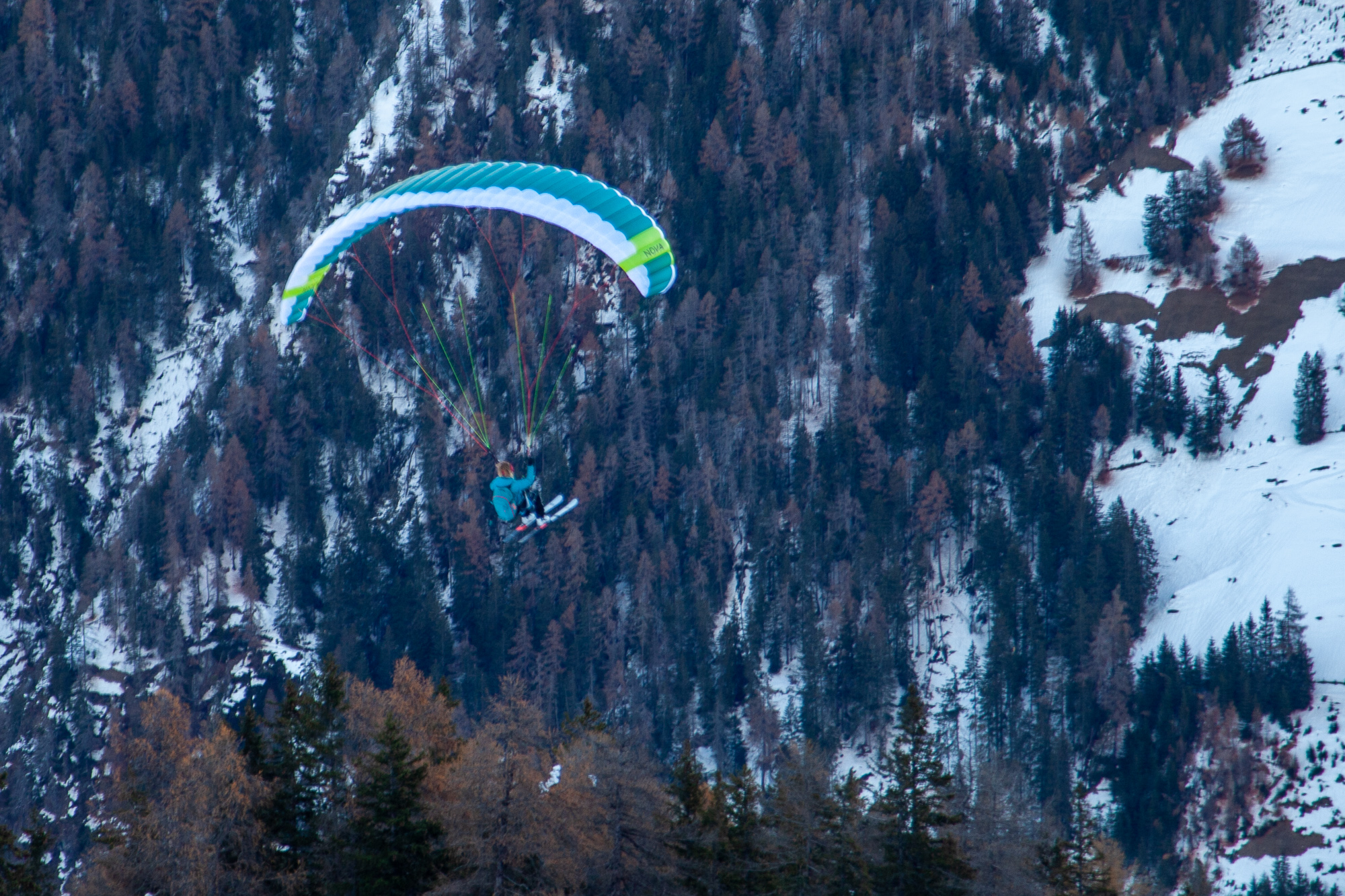 Lissi spart sich die Forststraße und fliegt mit dem Gleitschirm zum Ausgangspunkt