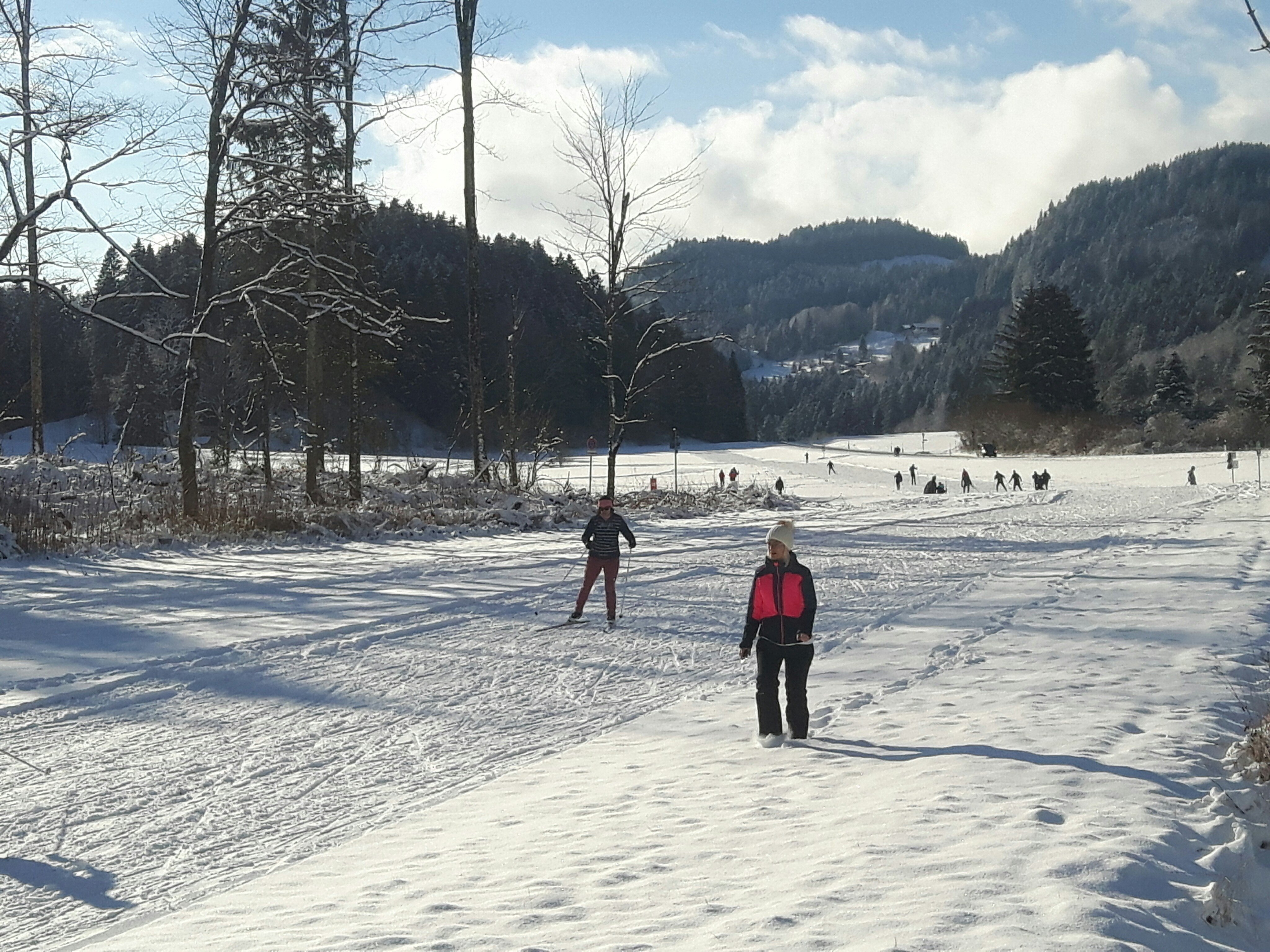 Viele Langläufer trotz mäßiger Loipe