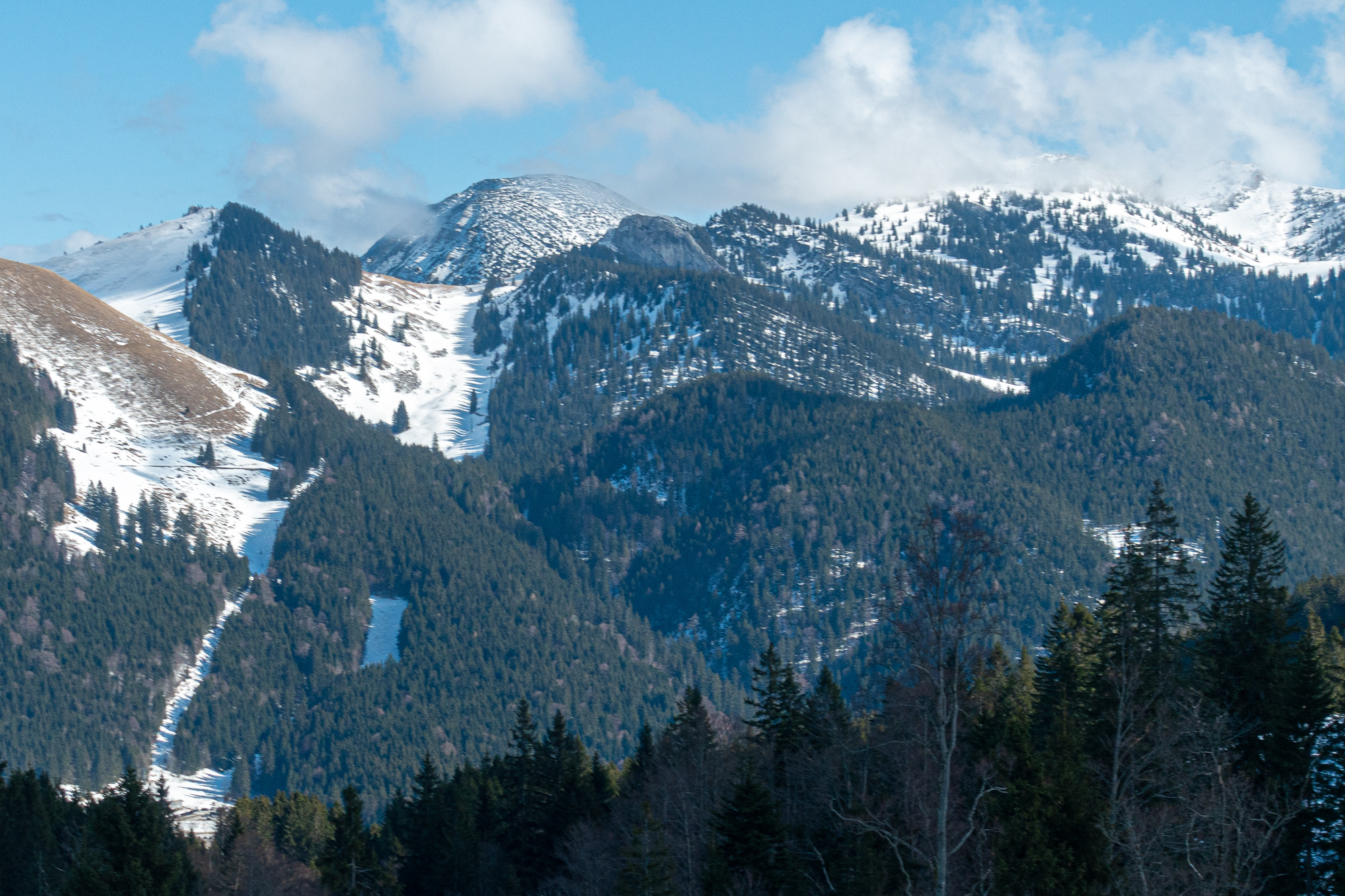 Die Westseiten mit dem Lochgraben in Richtung Taubenstein.