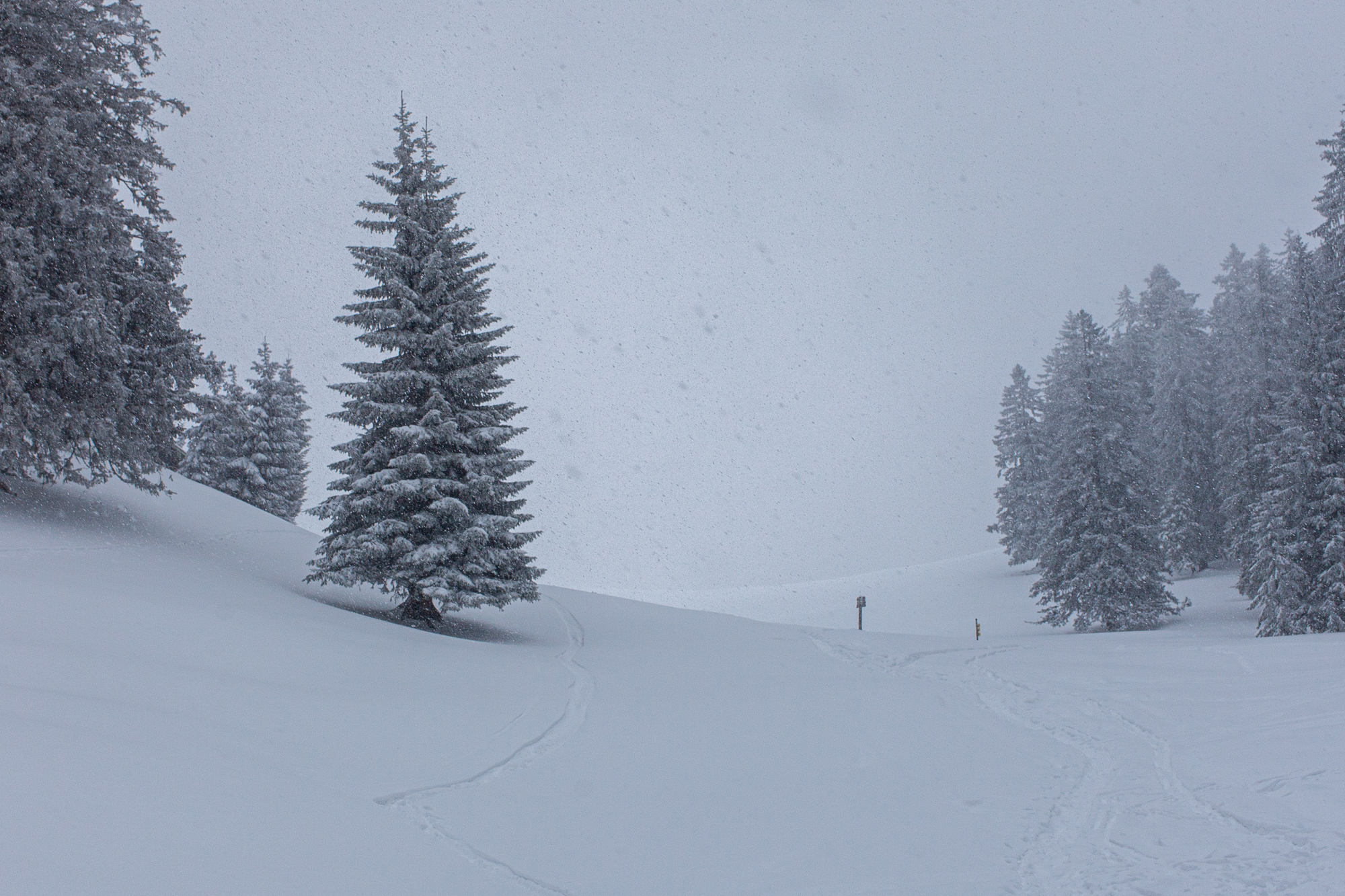 Tiefwinterliches Wetter an der Laubensteinalm