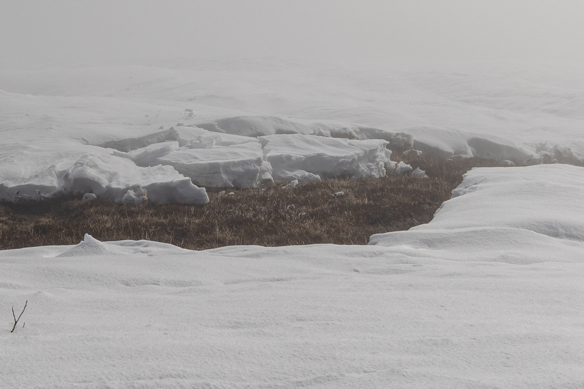 Das Schneemaul überm Platt sah noch recht aktiv aus