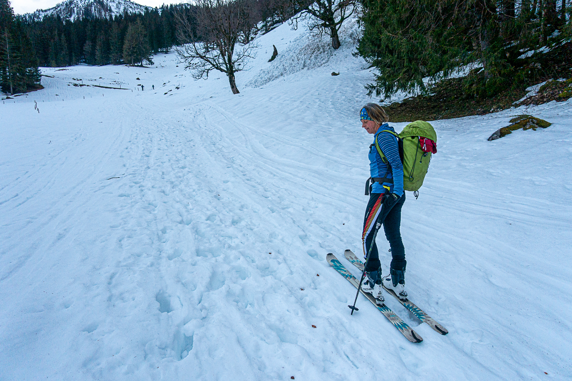 Morgens an der Sieblialm