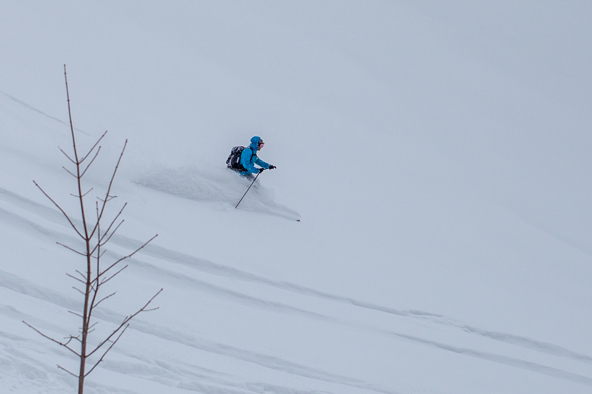 Alle Abfahrten hatten heute besten Pulverschnee