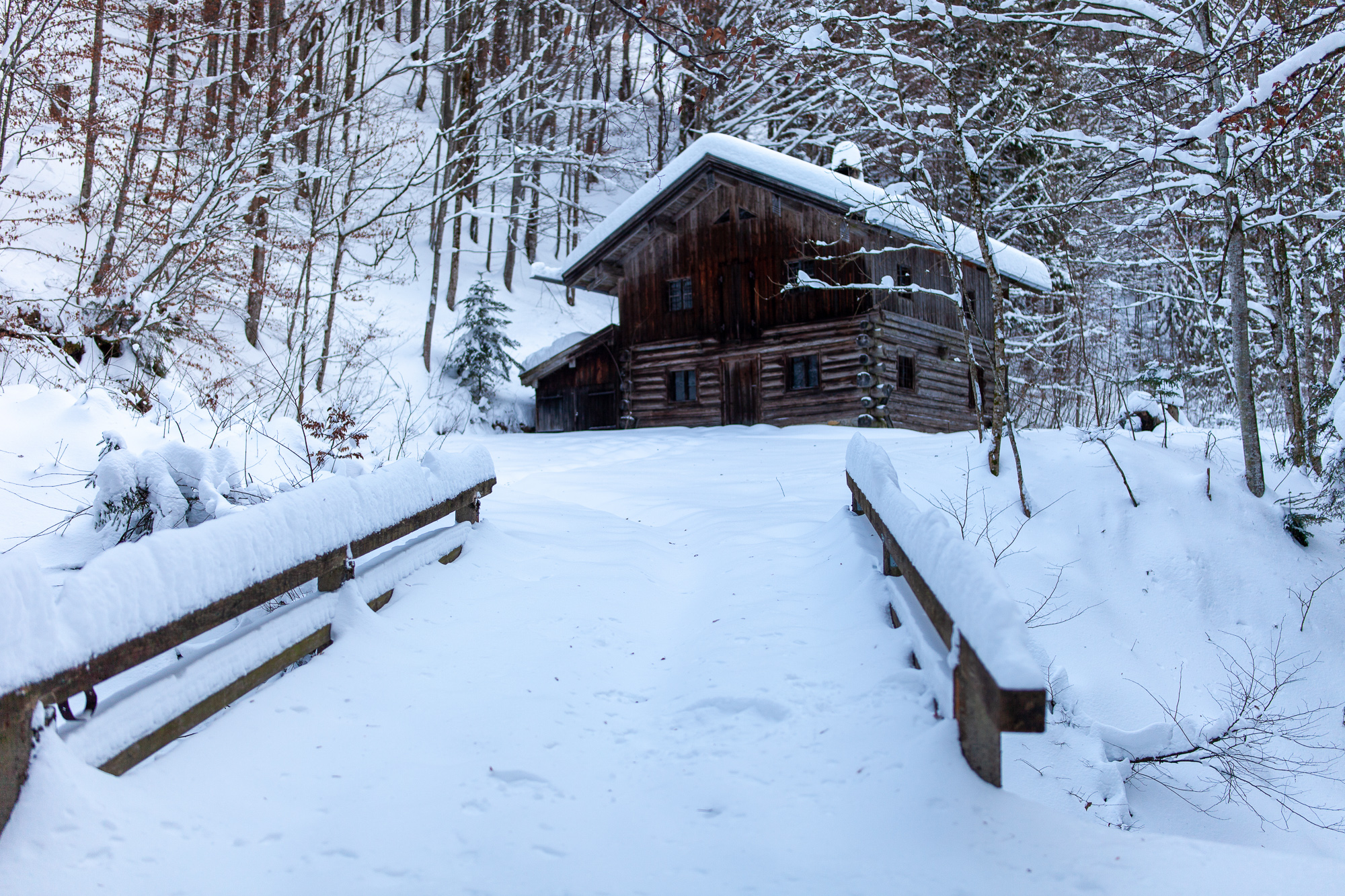 Wintermärchen im Klausgraben