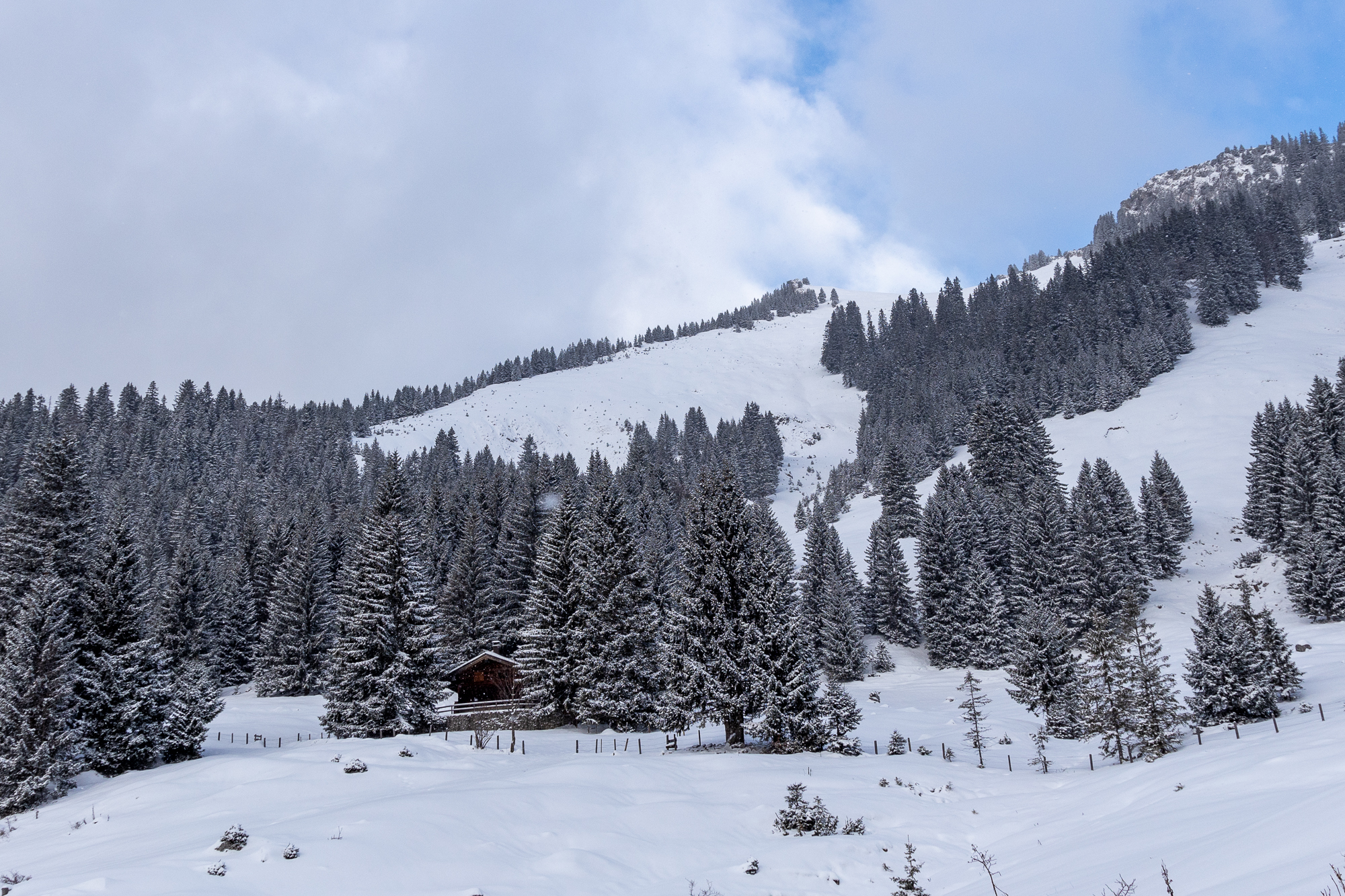 Blick zum Wildalpjoch