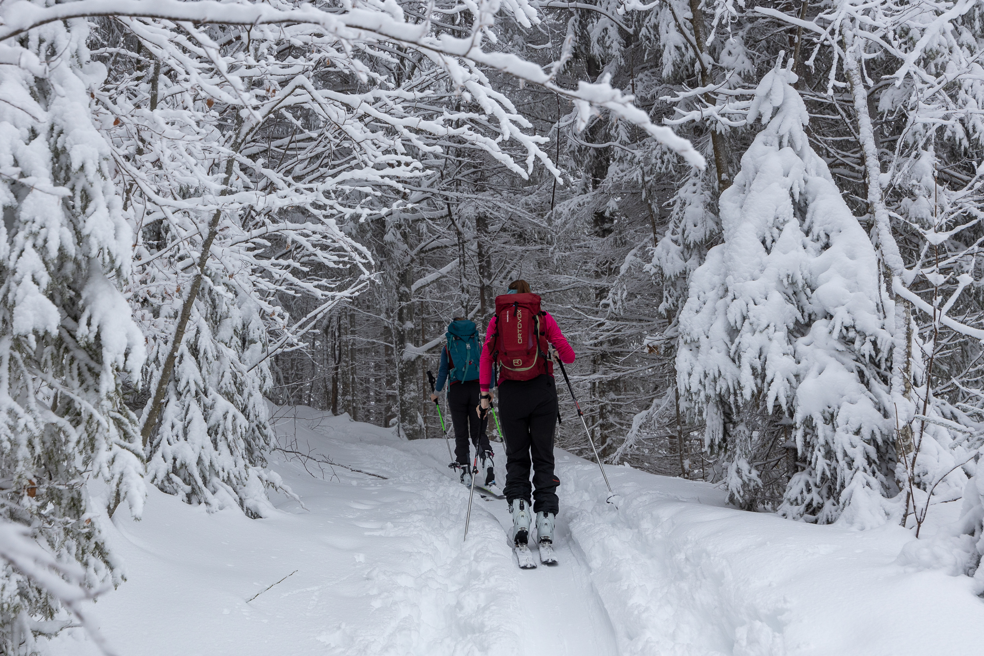 Winterfeeling im Abkürzer zur Talalm