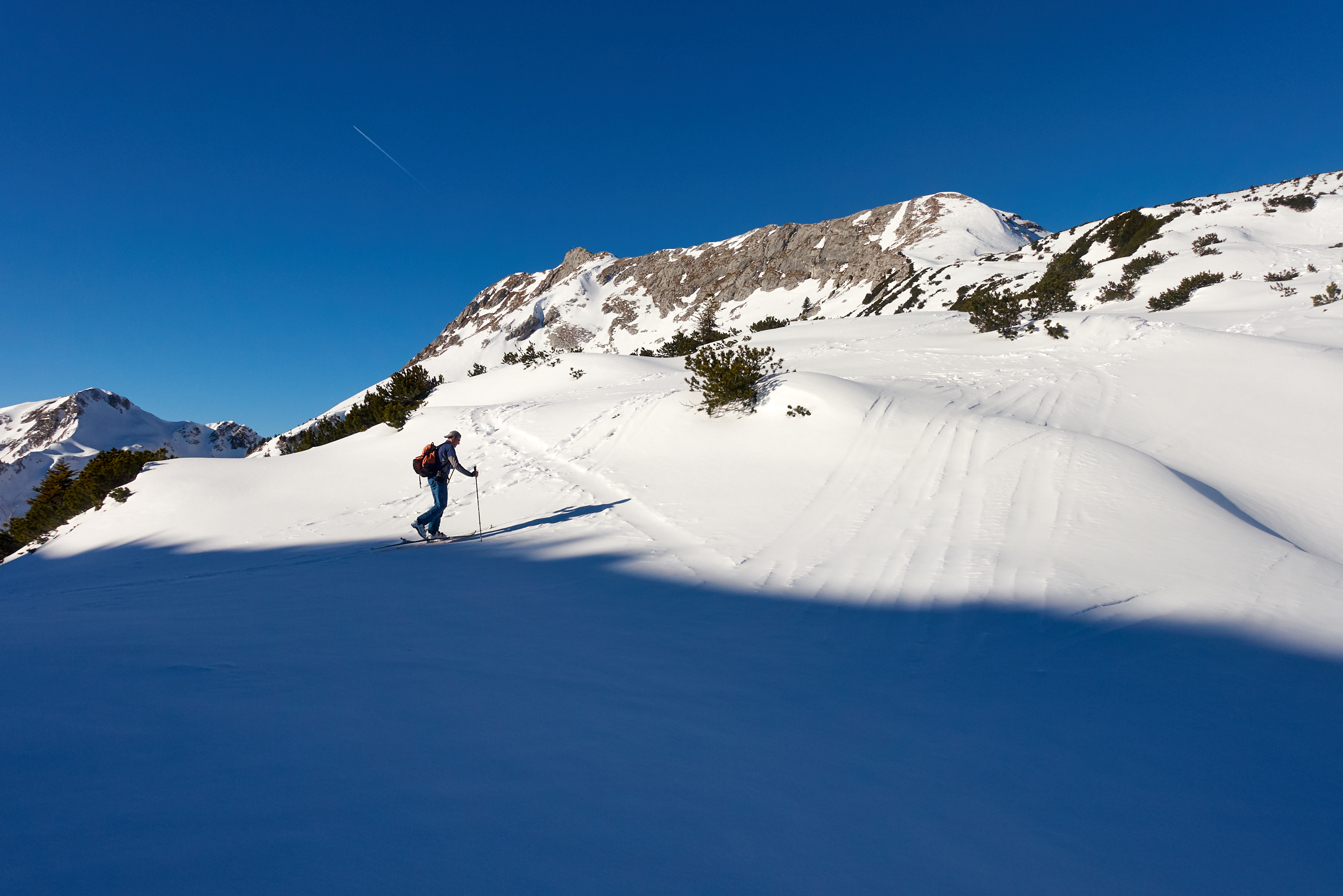 Wilder Freithof unter der Hochplatte