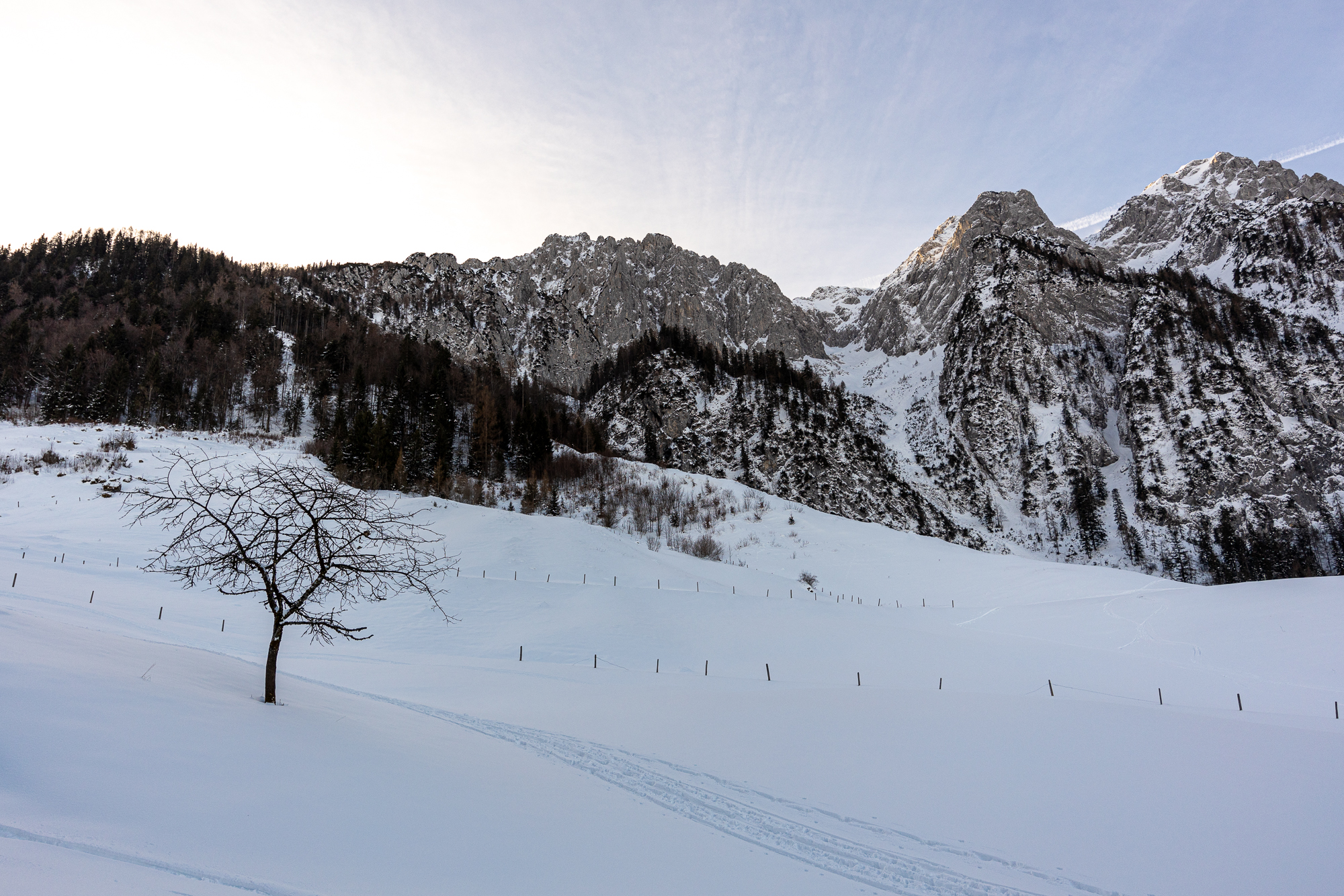 Blick vom Aschinger Rieder ins Kar