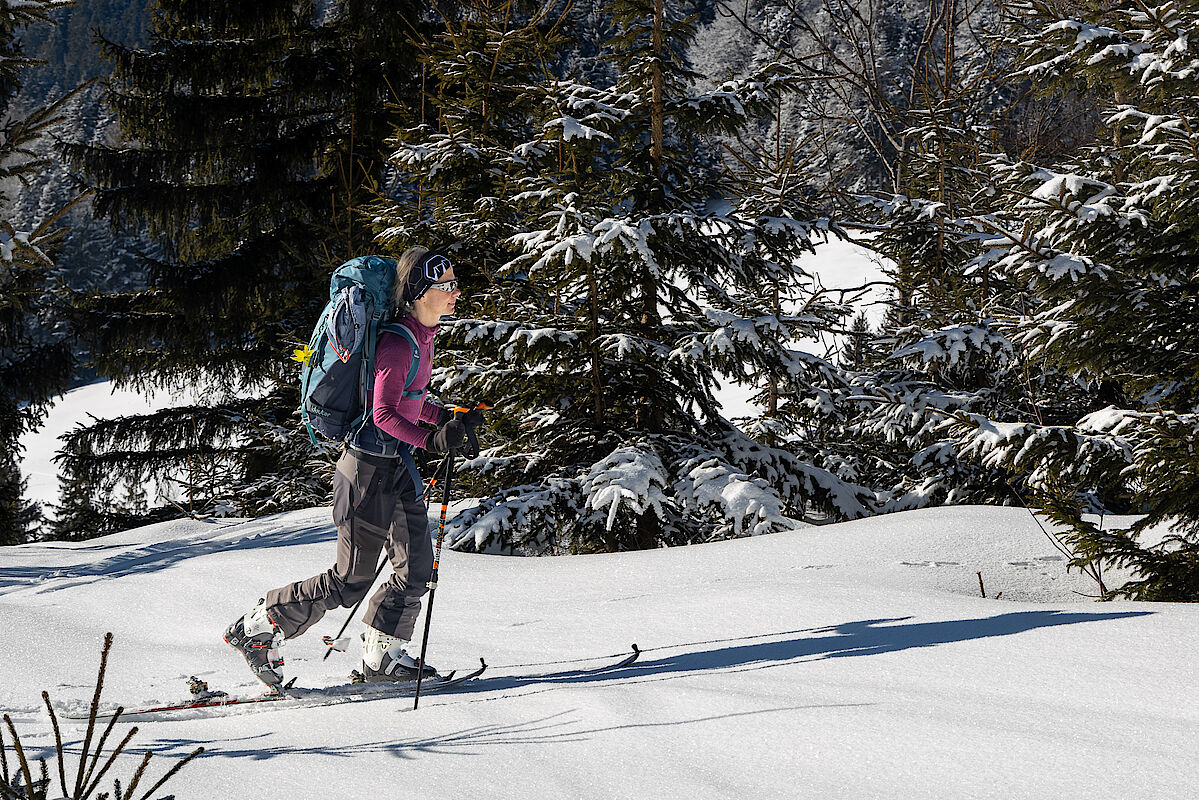 Etwas Neuschnee dann ab der Hälfte der Tour