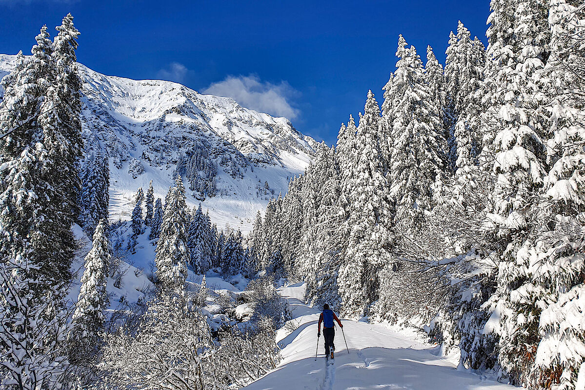 Wintermärchen im Steinberggraben