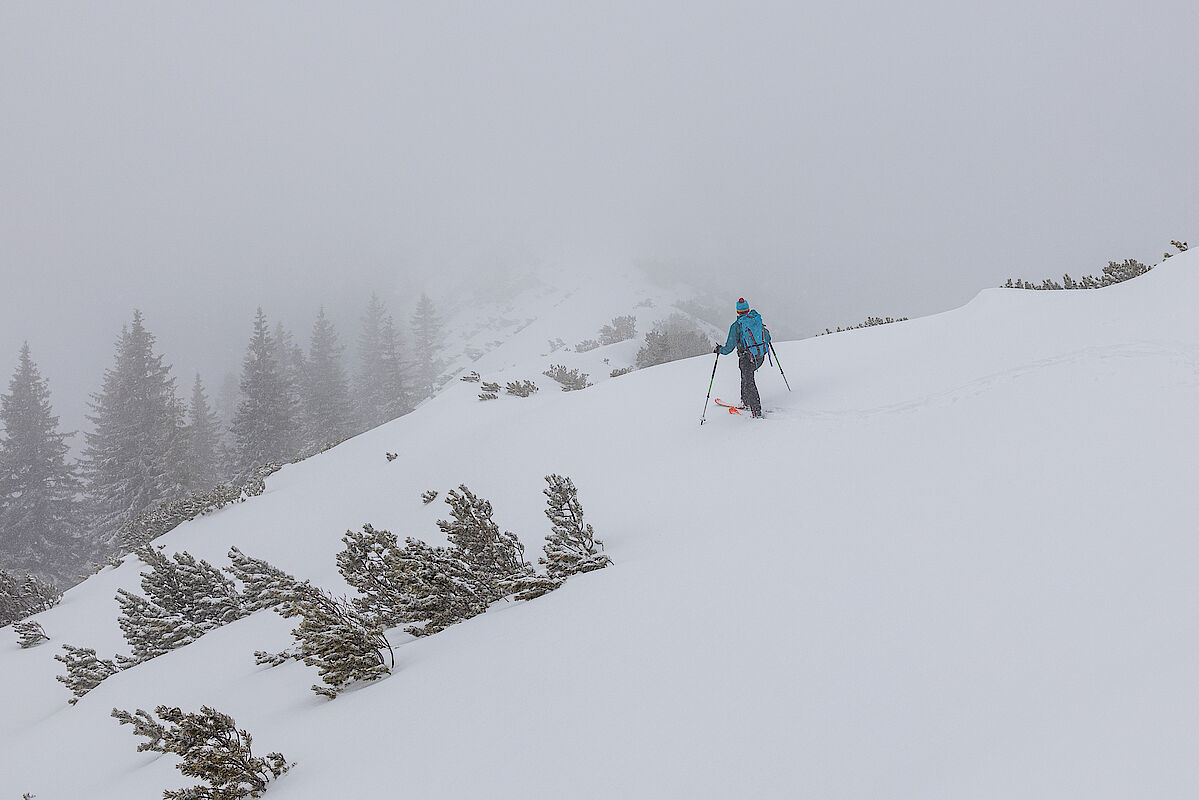 Ab dem Grat beim Steilner Joch kamen wir in den Nebel