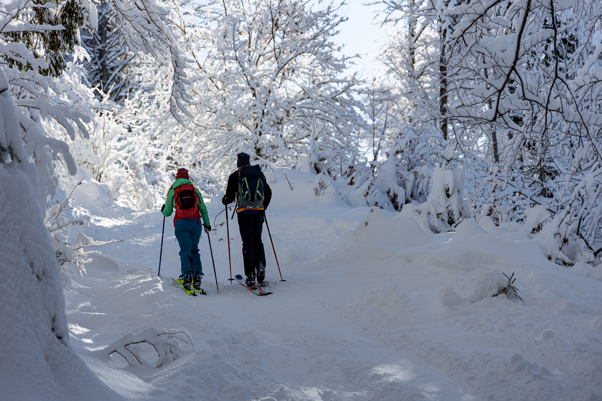 Auch die Ziehwege durch den Wald haben ausreichend Schnee