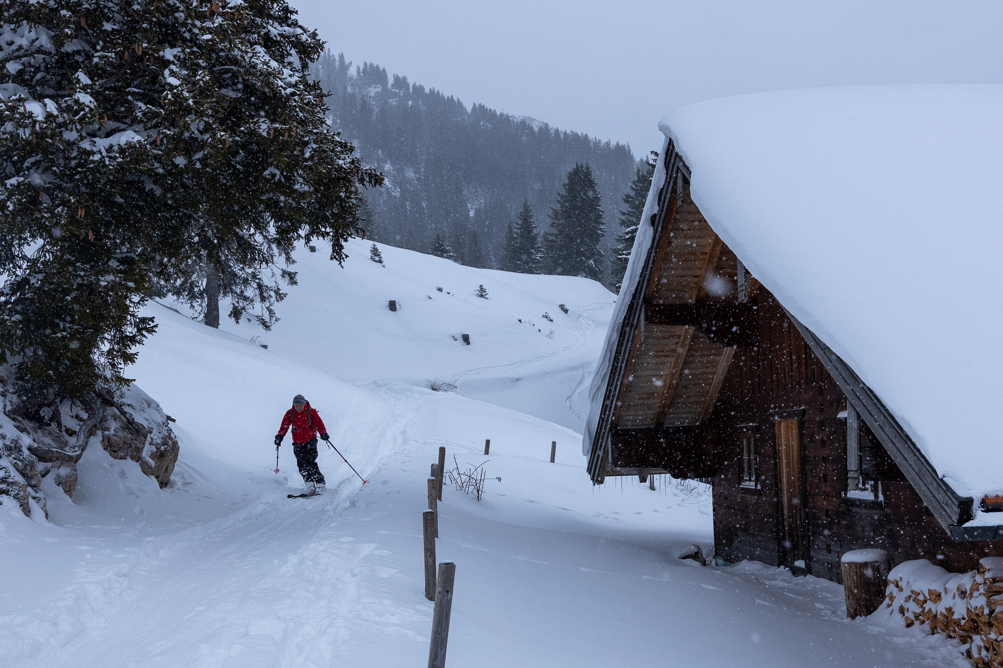 An der Lacheralm