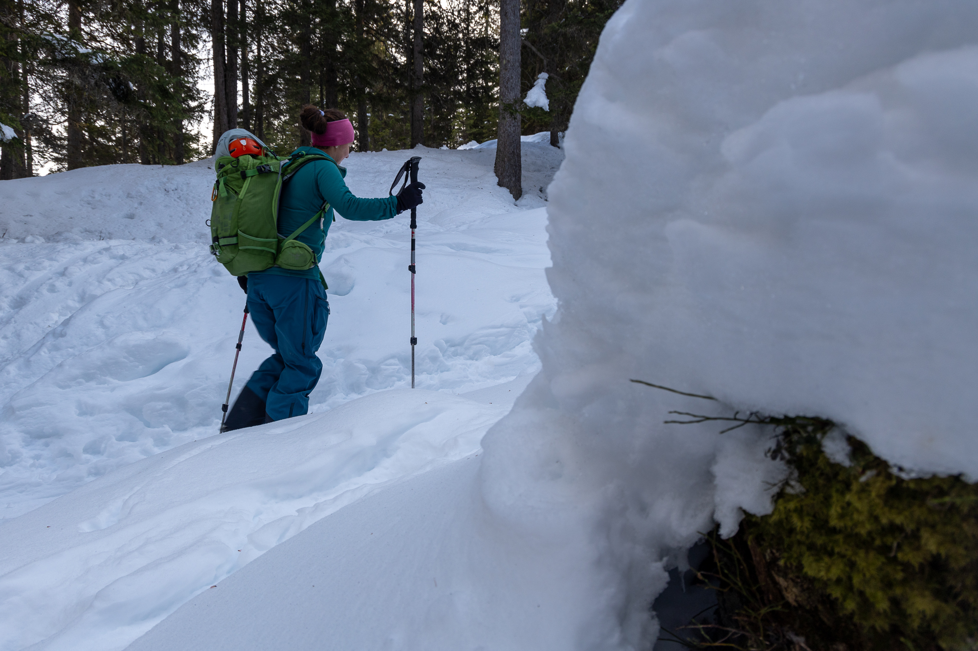 Im oberen Teil hats auch im Wald viel Schnee