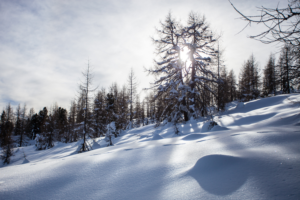 Winterwunderland im Villgratental